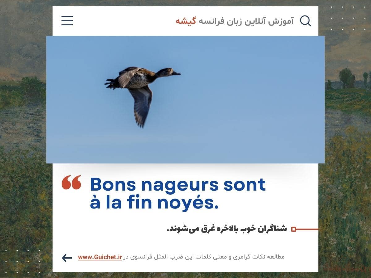 آموزش زبان فرانسه با بررسی ضرب المثل فرانسوی