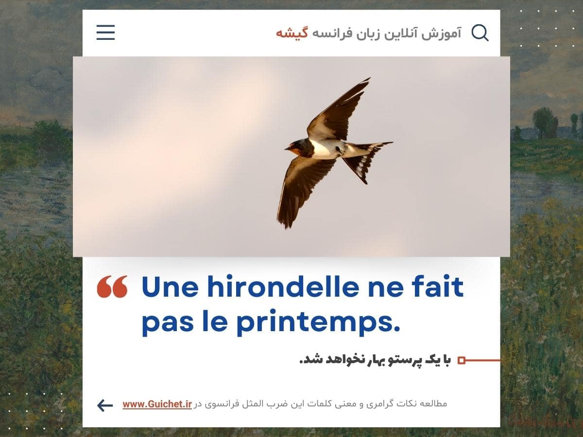 ضرب المثل به زبان فرانسه (با یک پرستو بهار نمیشه)
