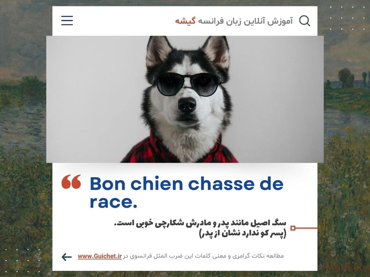 ضرب المثل فرانسوی به همراه نکات گرامری