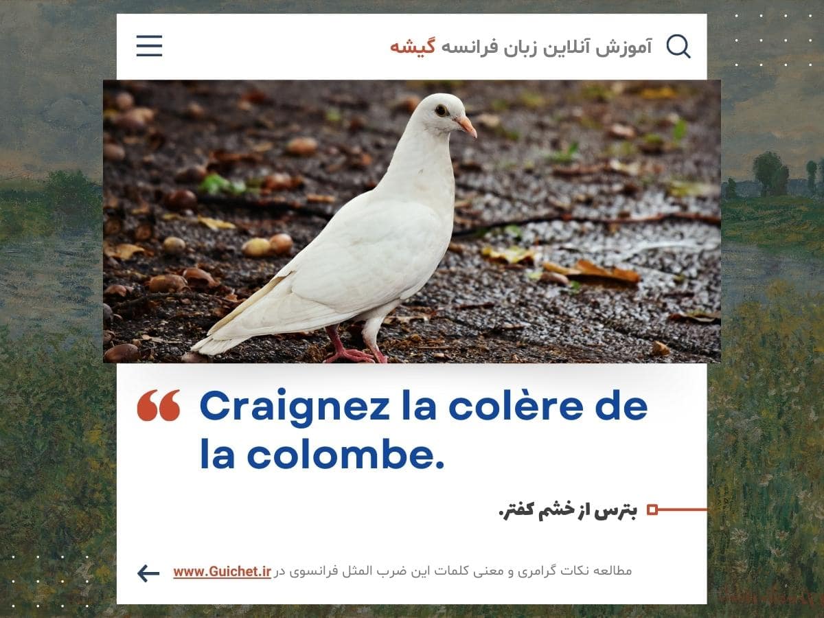 ضرب المثل فرانسوی درباره ترس