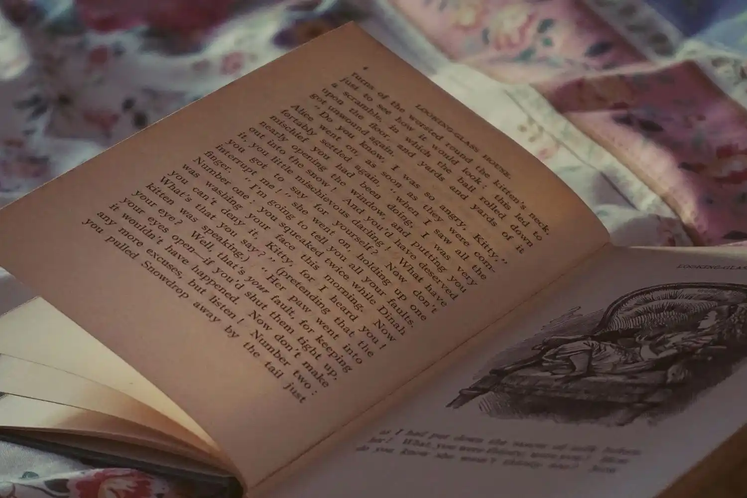 کتاب داستان فرانسوی