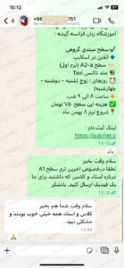 بازخورد دوره زبان فرانسه برای بزرگسالان گیشه